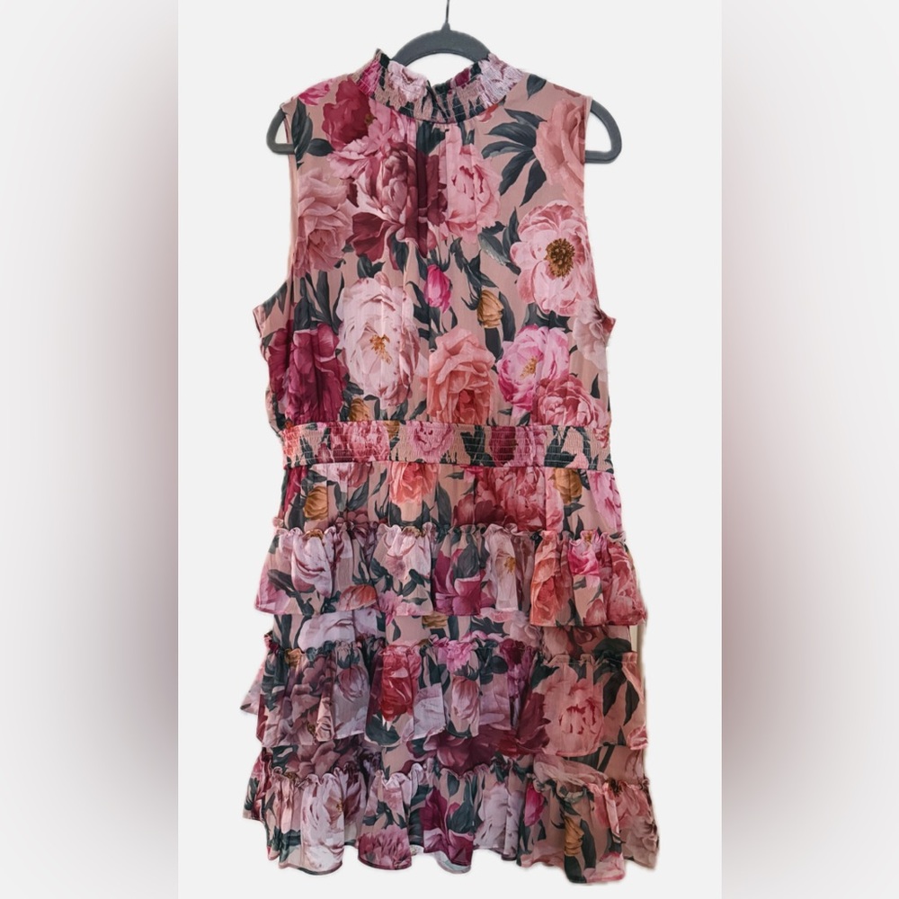 Express Pink and Burgundy Floral Dress